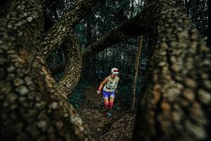 BIB: 
                            <button type="button" onclick="openModal(25674815)" class="btn btn-primary btn-sm float-right btn-popup" data-toggle="modal" data-target=".modal-high-quality">
                        <i class="fas fa-shopping-cart"></i> Add to Cart
                    </button>
                                            <button type="button" onclick="isThisMe(25674815, true)" class="btn btn-success btn-sm float-right btn-popup btn-isme hidden" data-toggle="tooltip" data-placement="bottom" title="นี่คือรูปของคุณใช่ไหม คลิกที่นี่เพื่อเอาเข้าอัลบั้ม">
                        <i class="fas fa-plus"></i> Add to album
                    </button>
                    <button type="button" onclick="isThisMe(25674815, false)" class="btn btn-warning btn-sm float-right btn-popup btn-isnotme hidden">
                        <i class="fas fa-ban"></i> Remove from album
                    </button>